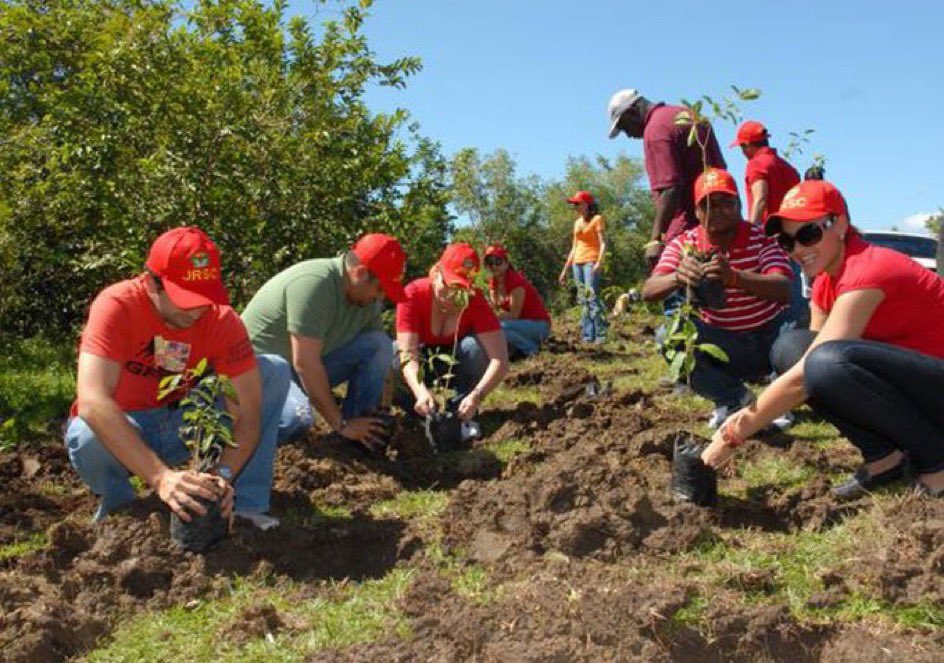 #Efemérides 📆 || Tal día como hoy, hace 13 años el Comandante Hugo Chávez lanzo la Misión Árbol durante el programa Aló Presidente 257, en el sector Los Venados del Parque Nacional Waraira Repano. #UniónYLealtad <a href="/NicolasMaduro/">Nicolás Maduro</a>
