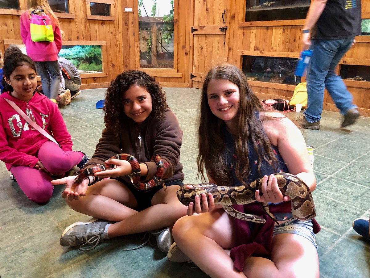 Making new “friends” at camp! 🦎🐍 #5thgradecamp #martellthinkers