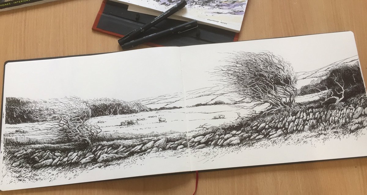 I’m fascinated how the wind shapes trees in coastal areas.