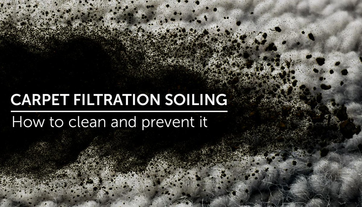 If you've noticed your carpets have turned a dirty black colour around the edges, especially along skirting boards and under doors, our latest blog reveals what causes it, how to prevent it and most importantly, how to get rid of it! cleantecinnovation.com/blog/how-to-cl… #CleaningTips