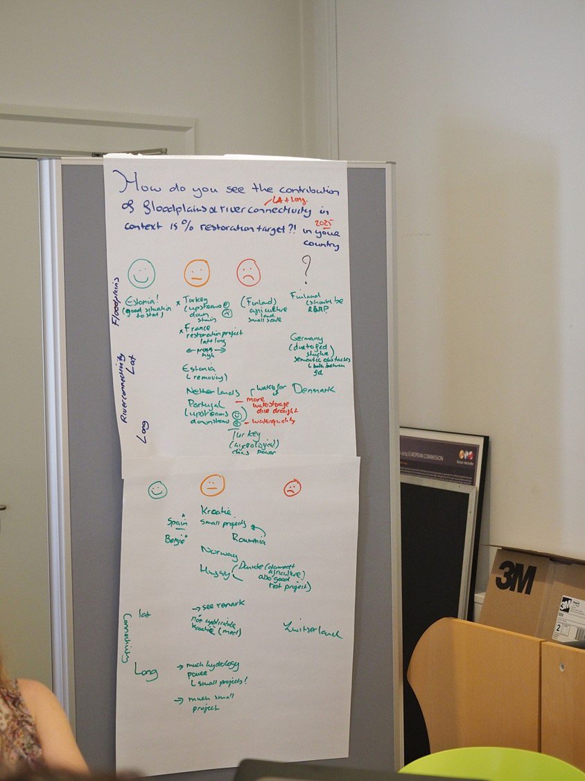 BioGeoProcess's tweet photo. Where can we harmonize #WFD and #NatureDirectives? Good 2-day workshop with 60 water and #biodiversity experts @EUEnvironment in Copenhagen on Ecosystem Based Management #EBM, #IRBM, #Wetlands and #Restoration @JONESWALTERS @WURenvironment https://t.co/6bPQnHwlbX