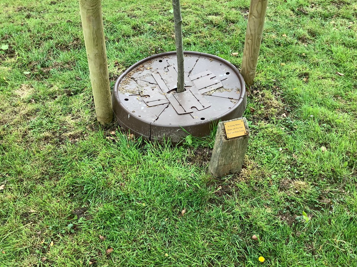 WoodlandDwellin's tweet photo. We have been out and about last week seeing how clients trees are doing in the recent hot weather, great to see #TreePans keeping the mowers & strimmers at bay, and also helping keep moisture in the ground #trees #youngtreeestablishment https://t.co/QFAIMbctTD