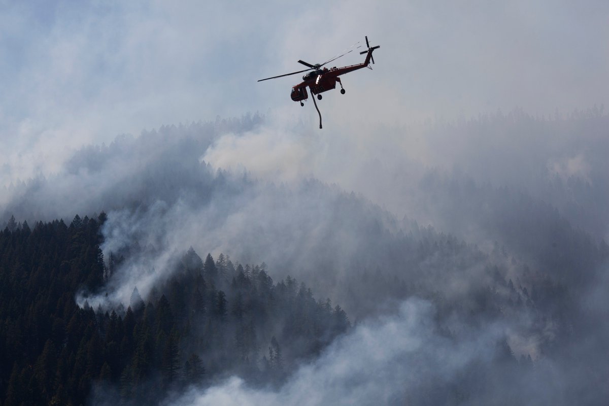 State Foresters (@stateforesters) on Twitter photo The House's #DisasterAidPackage includes $12 million for S&PF #Forestry, a $720-million repayment to the <a href="/forestservice/">USDA Forest Service</a> for 2018 #FireBorrowing, $480 million for the Emergency #Forest Restoration Program, and just over $3 billion for producers affected by #NaturalDisasters... The House's #DisasterAidPackage includes $12 million for S&PF #Forestry, a $720-million repayment to the <a href="/forestservice/">USDA Forest Service</a> for 2018 #FireBorrowing, $480 million for the Emergency #Forest Restoration Program, and just over $3 billion for producers affected by #NaturalDisasters...
