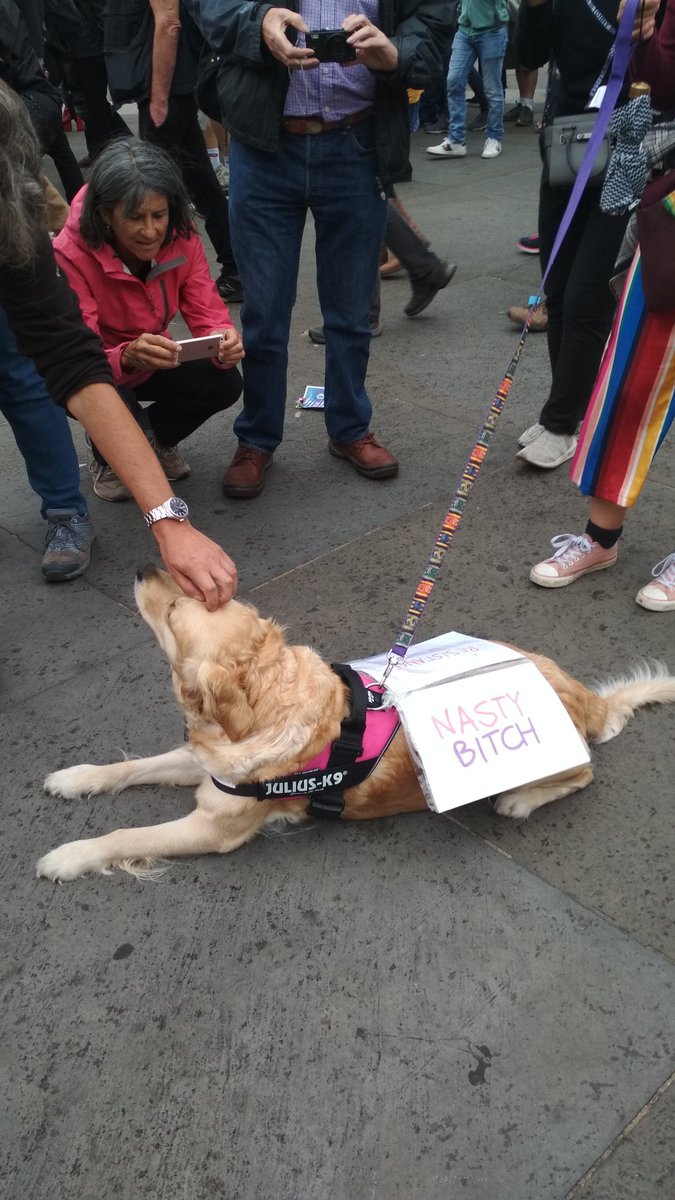 sarahliuk's tweet image. The protest moves down Whitehall. Everything I believe is being said here. #protesttrump #trumpvisituk