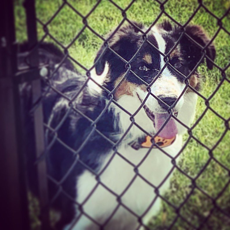 Webster Station tweet media