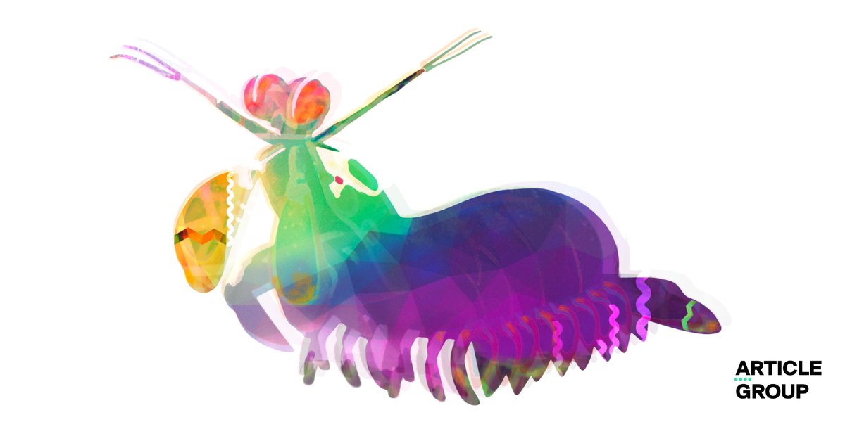 ArticleGroup's tweet photo. For every RT of this mantis shrimp, we’re donating $1 to New Alternatives, which helps homeless LGBTQ+ youth in NYC (max $500). Let’s do this! https://t.co/6eaqnt1xzi