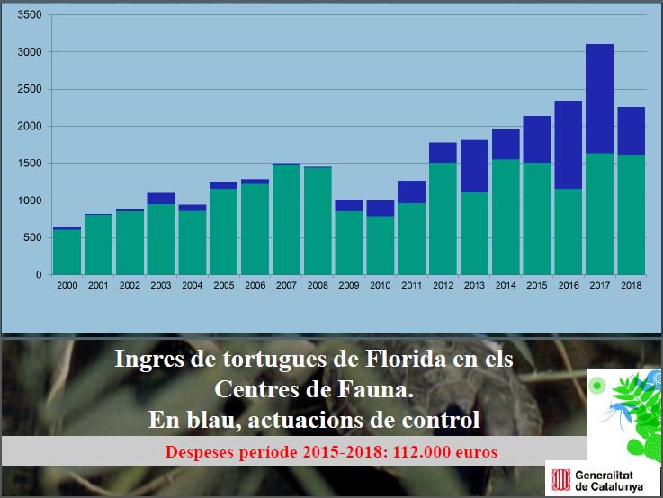 transicioeco's tweet photo. Des del @CRARC_Masquefa, Albert Martínez explica els principals problemes que cal coneixer de les tortugues com a #espèciesinvasores per poder lluitar contra els impactes que provoquen, amb totes les eines possibles. https://t.co/7hjQZFsVvs