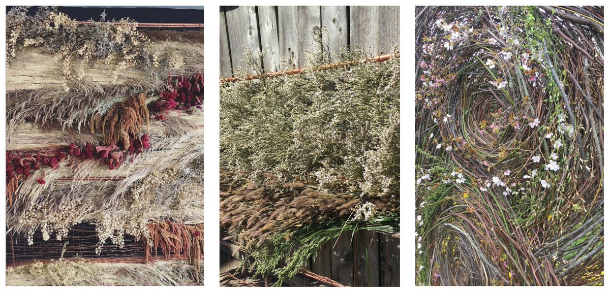 Roots on the Row is the 2019 public art project created for Salem Arts Festival. Made by local artist Maia Mattson, Roots on the Row is a collection of botanical weavings utilizing plants foraged and found in the Salem and the surrounding North Shore area. dlvr.it/R60r5z