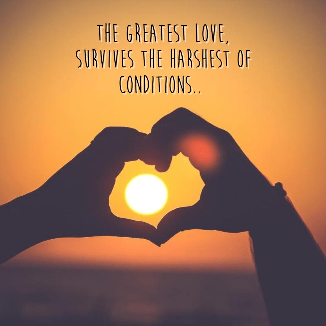 PixTeller's tweet photo. Create amazing summer images with the help of PixTeller's easy to use  templates. Browse through our selection of summer templates that you can customize with icons, text, and photos that you like.
https://t.co/EH8F9p1ITc
#summer #template #images #graphics #design #pixteller https://t.co/EQ3sGe59tJ