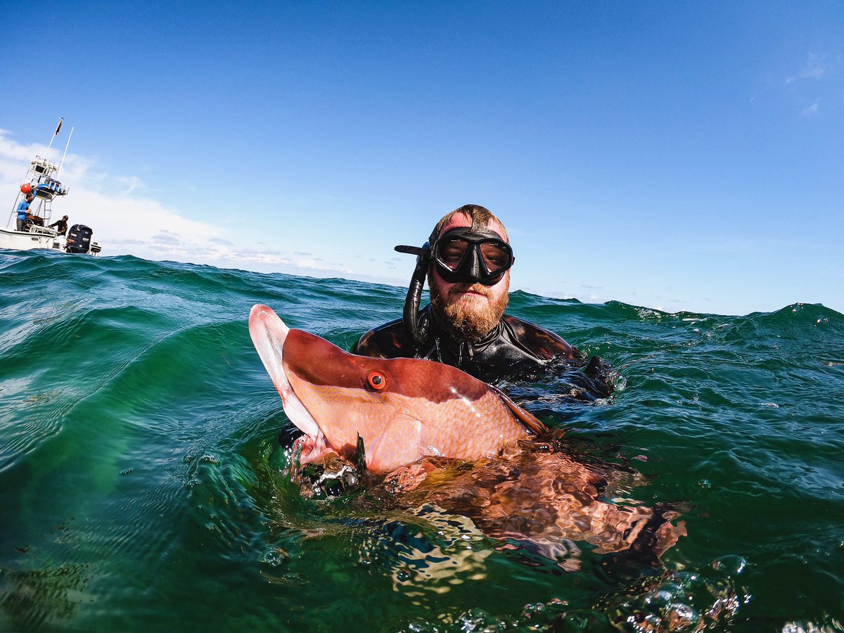 wakenbait's tweet photo. @sburns497 with a big bonus 🐷
#wakenbait #spearfishing #freedive #hogfish #bacon #inthemeat #iykyk #gulfofmexico #gaggrouper #spearo #gulfcoast #murkcrew #floridafishing #lovefl #getbaited https://t.co/ZOcXlBaLQh