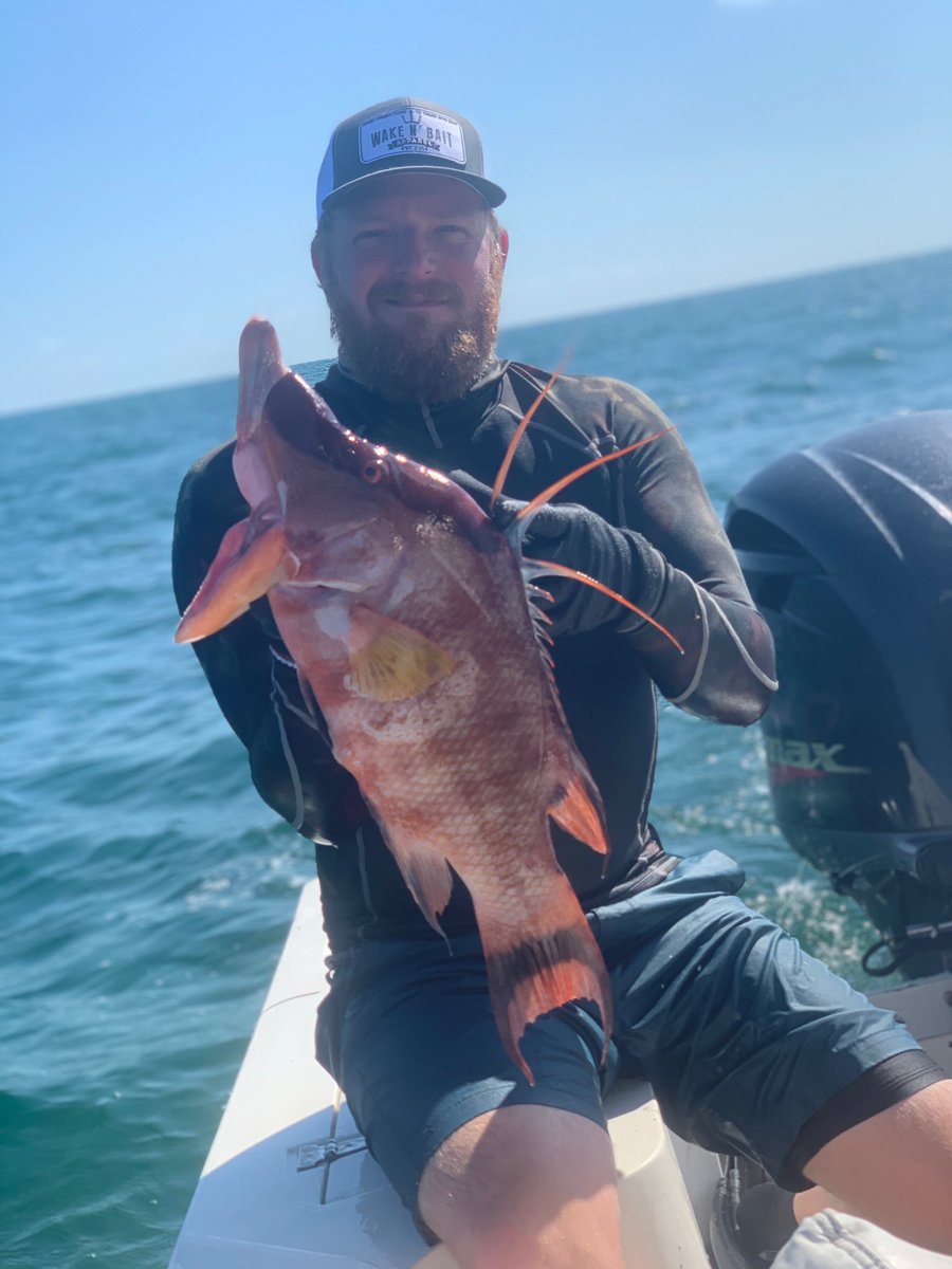 wakenbait's tweet photo. @sburns497 with a big bonus 🐷
#wakenbait #spearfishing #freedive #hogfish #bacon #inthemeat #iykyk #gulfofmexico #gaggrouper #spearo #gulfcoast #murkcrew #floridafishing #lovefl #getbaited https://t.co/ZOcXlBaLQh