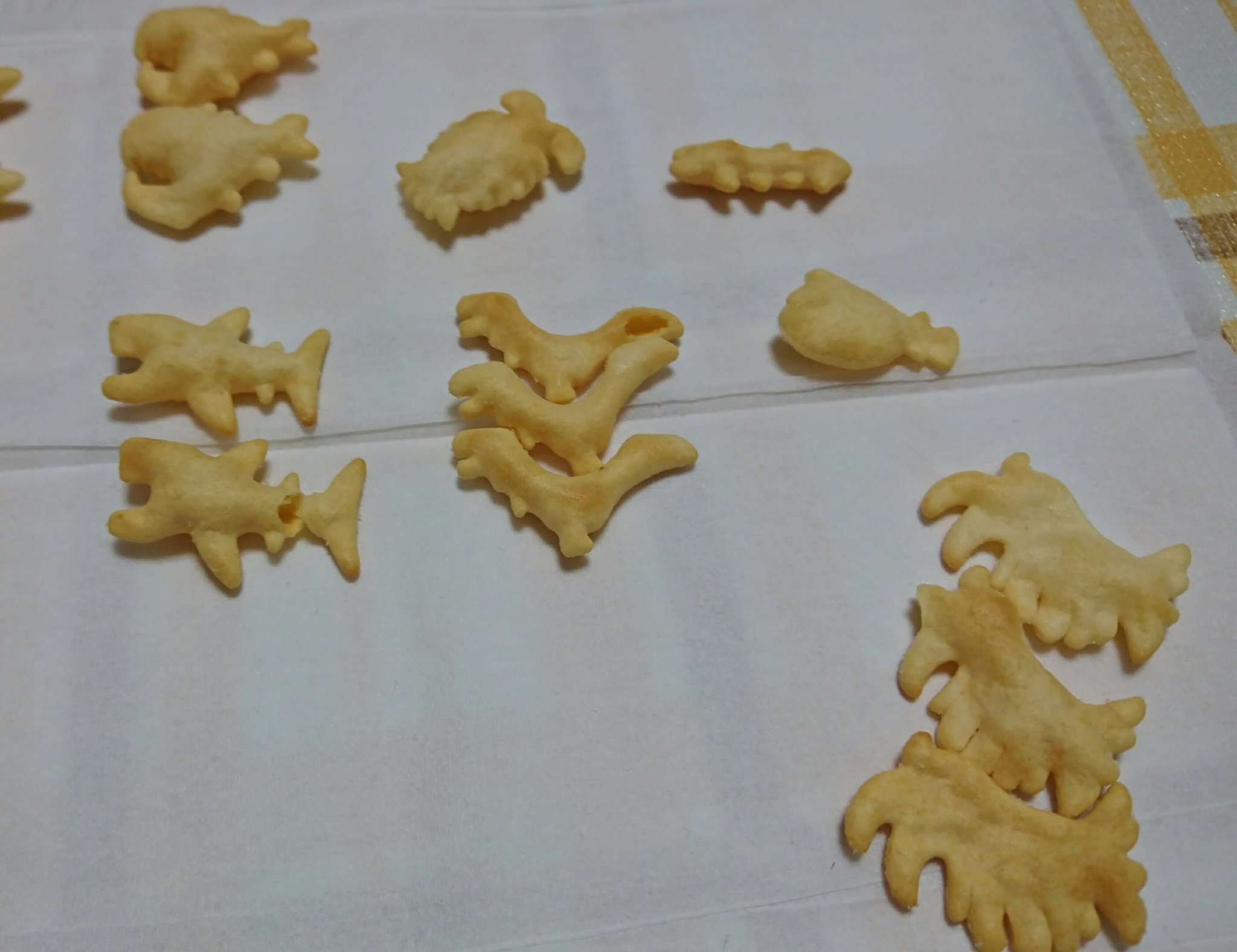 おっとっと 深海 生物 シークレット 名前