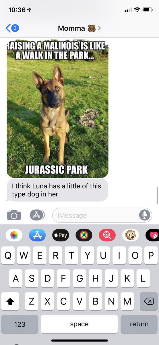 b_ran__'s tweet photo. My mom has been babysitting Luna for barely 24 hours &amp; sends me this🤣🤣🤣 struggling much, Grandma? https://t.co/Qup0m8lpMJ