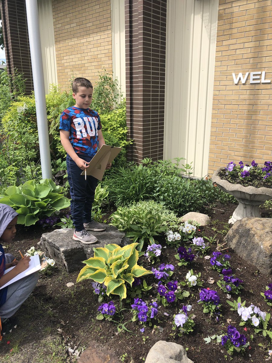 MissWallace19's tweet photo. Combining art and science today with our plant investigation! Students were asked to draw what they see and be mindful! We will be labelling their plant structures later 🌲🌳🌿🍃💐🌷🌹🌺🌾 @StBrigidOCSB @ocsbStudents https://t.co/VakOaMm2KV