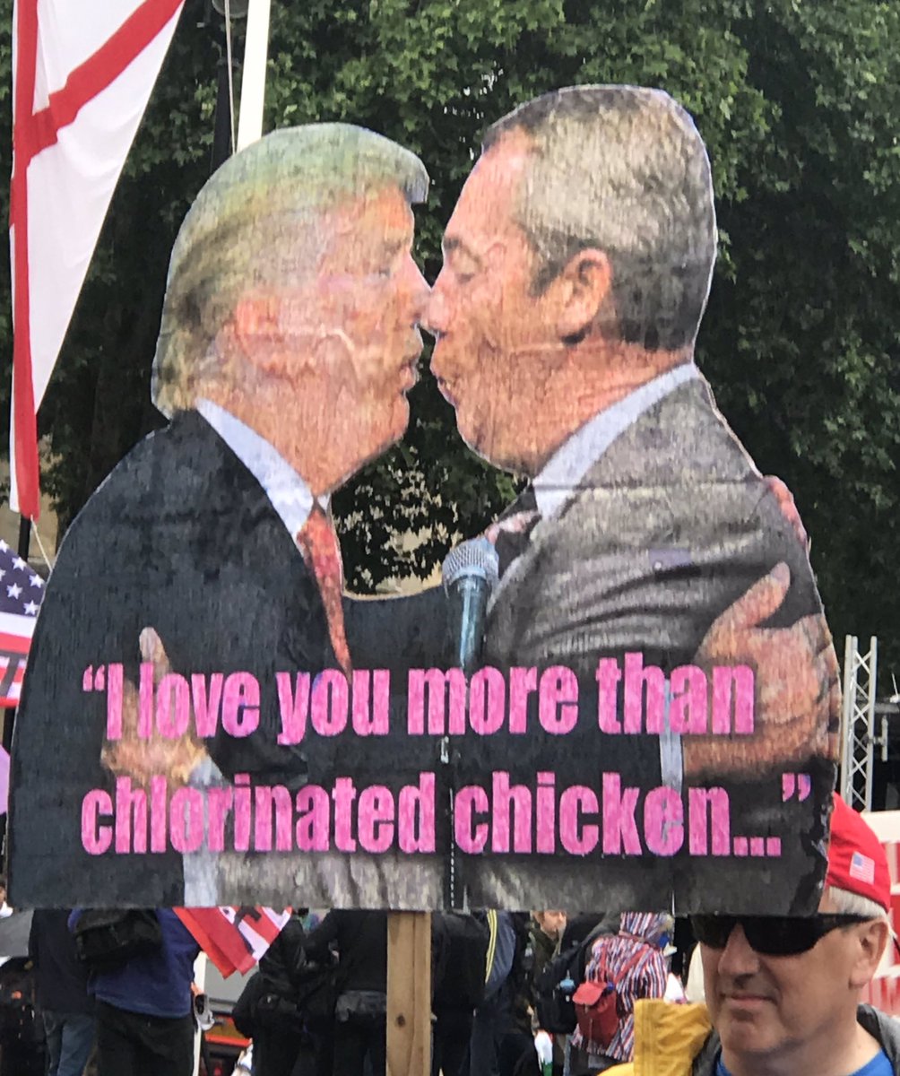 MichaelH14's tweet photo. Some amusing placards and sights here in Parliament Square #TrumpDemo #TrumpNotWelcome #TrumpProtest https://t.co/Q1W0ufwmCt