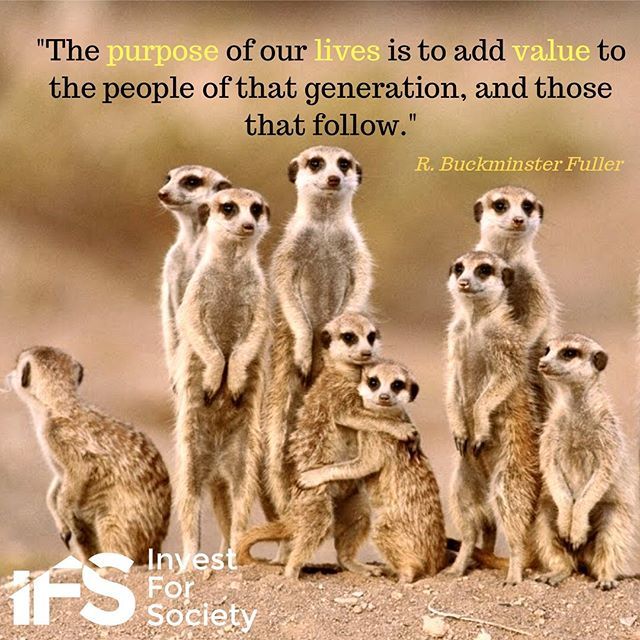 Invest4Society's tweet photo. Join us @investforsociety to get involved in a change making project! #purposeiskey #purposeisthenewluxury #togetherwerise #suricate #wisequotes #blockchain #sustainability #activeinvesting #impactinvesting https://t.co/i4O45XevLY https://t.co/0TNzgGf51V