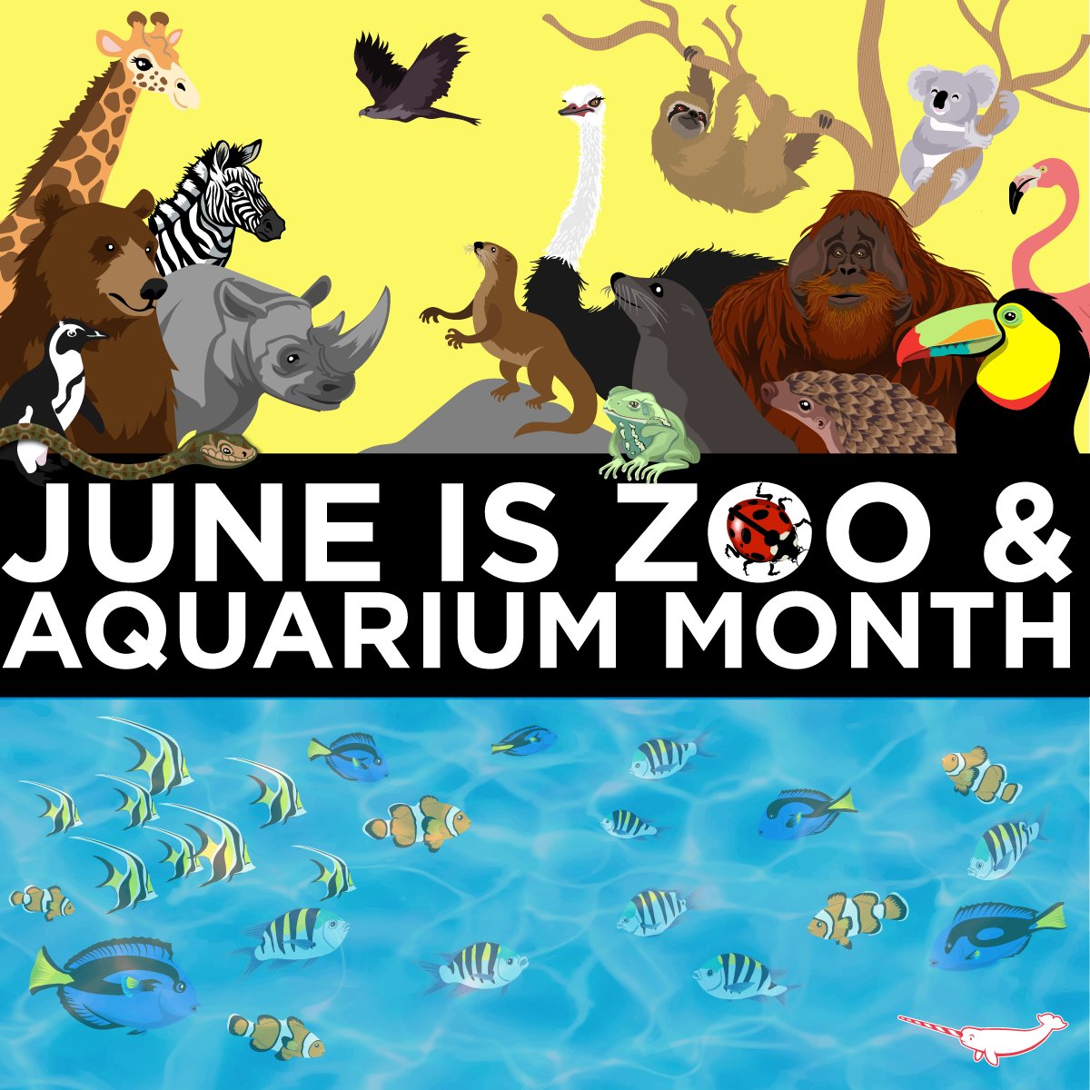 World Association Zoos & Aquariums on Twitter "June is 
