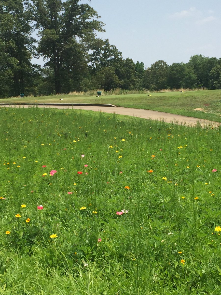 Buck Workman tweet media