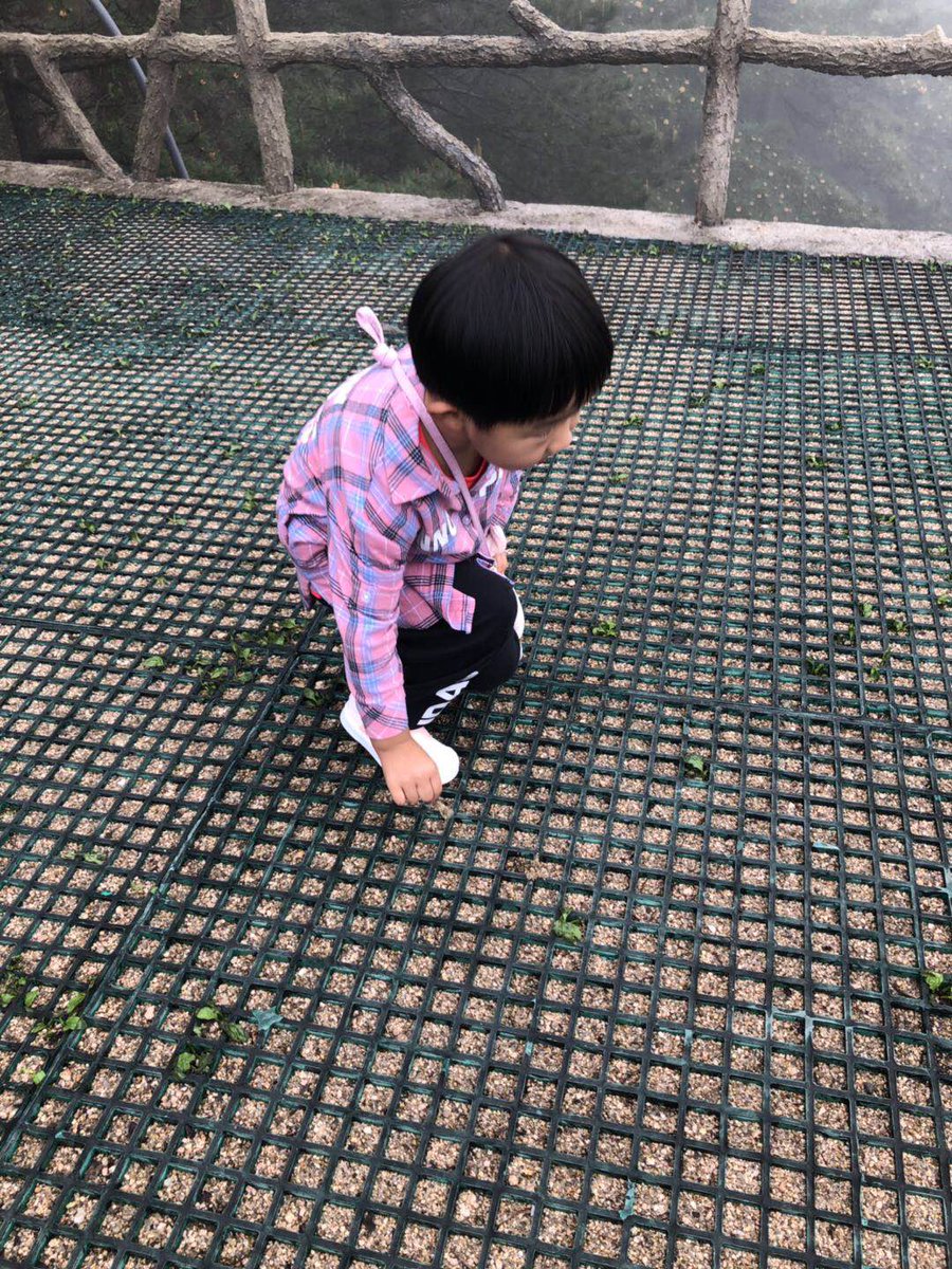 Employees from our Suzhou plant in China climbed #MountHuangshan and collected litter to help make a positive #environmentalimpact.  After witnessing the work of our team, a little girl mimicked them as she began to pick up items from the mountain path for #recycling.