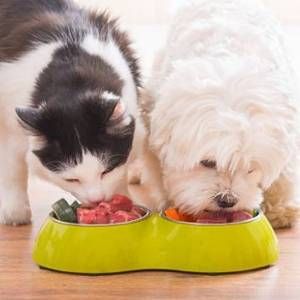 MagnattackG's tweet image. One of our customers recently increased control over foreign metal by installing new Magnattack separation systems in their pet food plant. Read the full case study here - bit.ly/2Z0RIuD

#magnattack #petfood #pets #slurries #metalfragmentcontrol #metalseparation