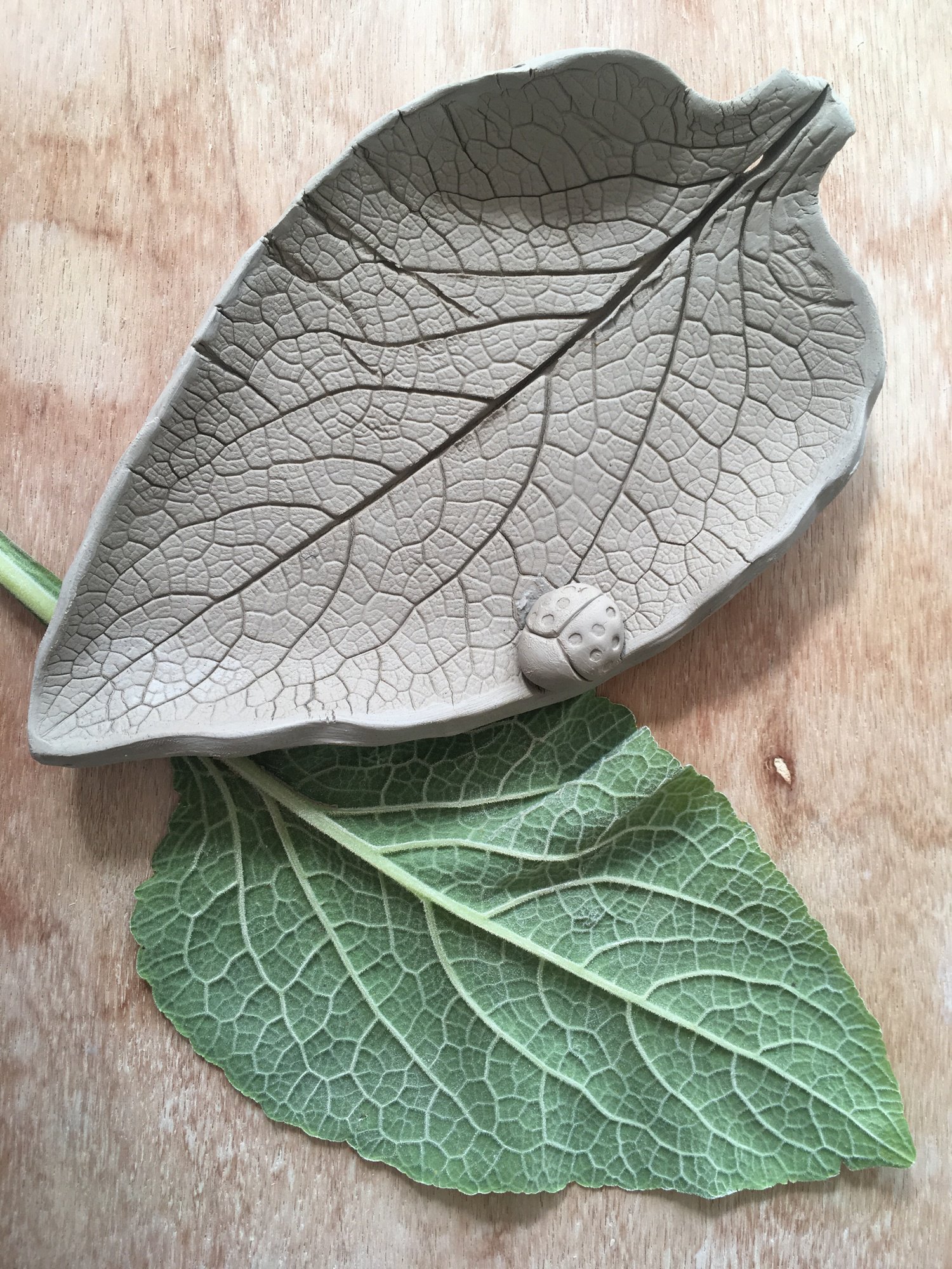Air-Dry Clay Leaf Imprint Trinket Dish