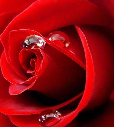 MarinaYurieva's tweet photo. @sheffchenkoyuri https://t.co/88J4f09ODS