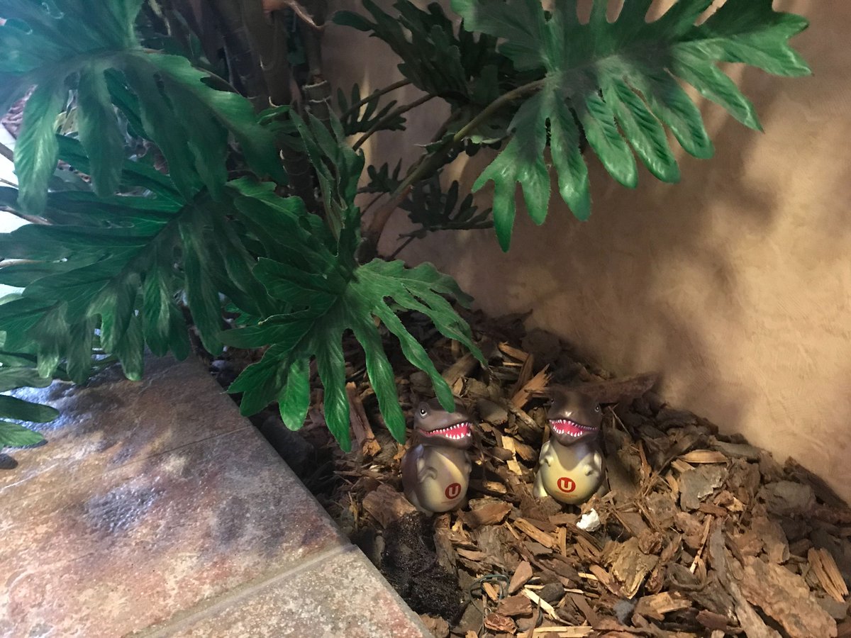 UnionWare tweet media