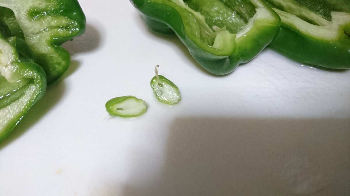 鵺 A Twitteren ピーマン切ってたら中から小さいピーマン出てきた 念のため切ったら中身もしっかりピーマンしてる なんだこれは