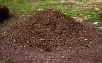 L' umificazione sfrutta l'azione dei microrganismi per degradare contaminanti organici. Prevede cumuli statici o rivoltati; è necessaria la presenza di aria per garantire i processi aerobici.
Attraverso #biostimulation, #bioaugmentation e strutturanti si favorisce il processo.