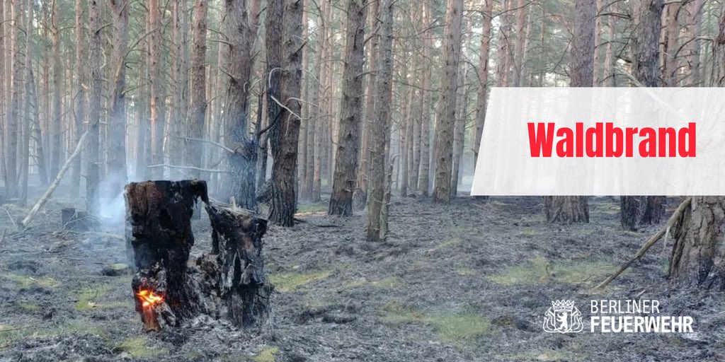 Berliner_Fw's tweet photo. ⚠️ Warnung vor Geruchsbelästigung durch Waldbrand.
Durch einen #Waldbrand bei #Jüterbog kann es vor allem in den westlichen Stadtteilen von #Berlin zu Belästigungen durch #Rauch und #Brandgeruch kommen. Fenster und Türen sollte man gegebenenfalls geschlossen halten! https://t.co/UM9o6uayxA