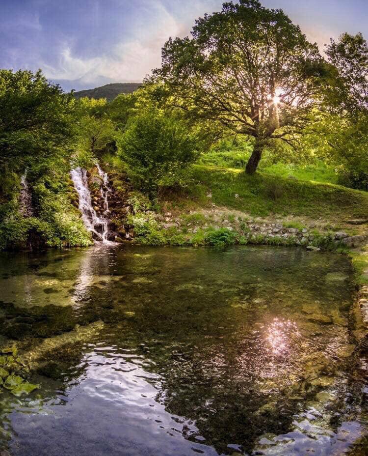 Nel Parco Naturale La Sponga, sgorgano le famose sorgenti da cui prende il nome. 
A 1100 metri di quota, tra faggi e castagni secolari, le acque pure delle sorgenti del Parco La Sponga - Canistro.
#yesabruzzo #abruzzo #valleroveto