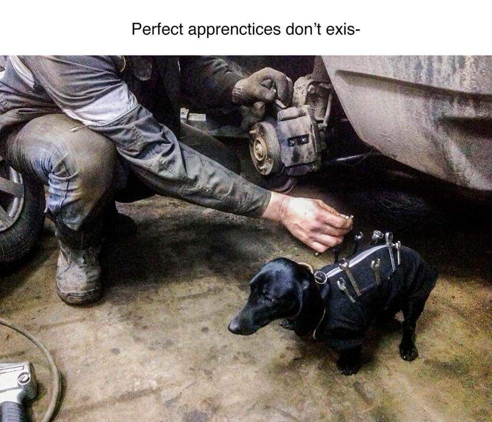 instamek's tweet photo. We're looking for an apprentice this one over here. Any referrals would be appreciated!  #yeg #yyz #yyc https://t.co/jr4GkH003R