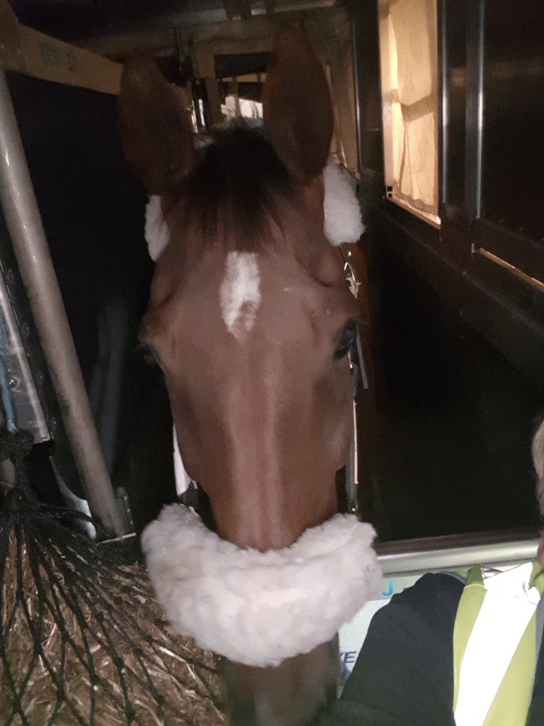Foxtrot_Racing's tweet photo. Here is Vosne Romanee in the USA! Safely arrived  @JFKairport  Wonder what his favourite in flight movie was? #RonnieOnTour https://t.co/9GloaQzb7d