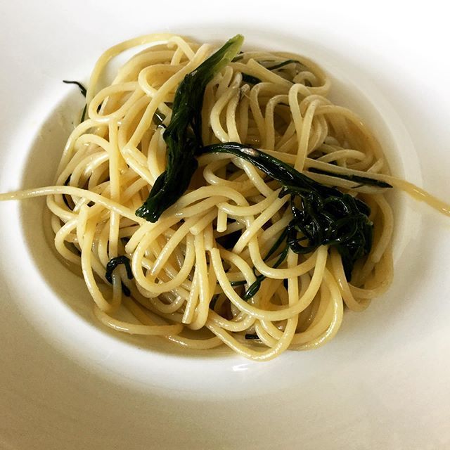 DorianaTucci's tweet photo. Conoscete gli agretti? Detti anche #barbadofrate, sono un ortaggio velocissimo da cuocere e molto gradevole
Mi piace molto appena scottato in acqua salata e condito con olio e limone, ma anche gli #spaghetti #lestagioniditalia con aglio olio acciughe e peperoncino 🌶 sono de… https://t.co/VeUq7ZIxZU