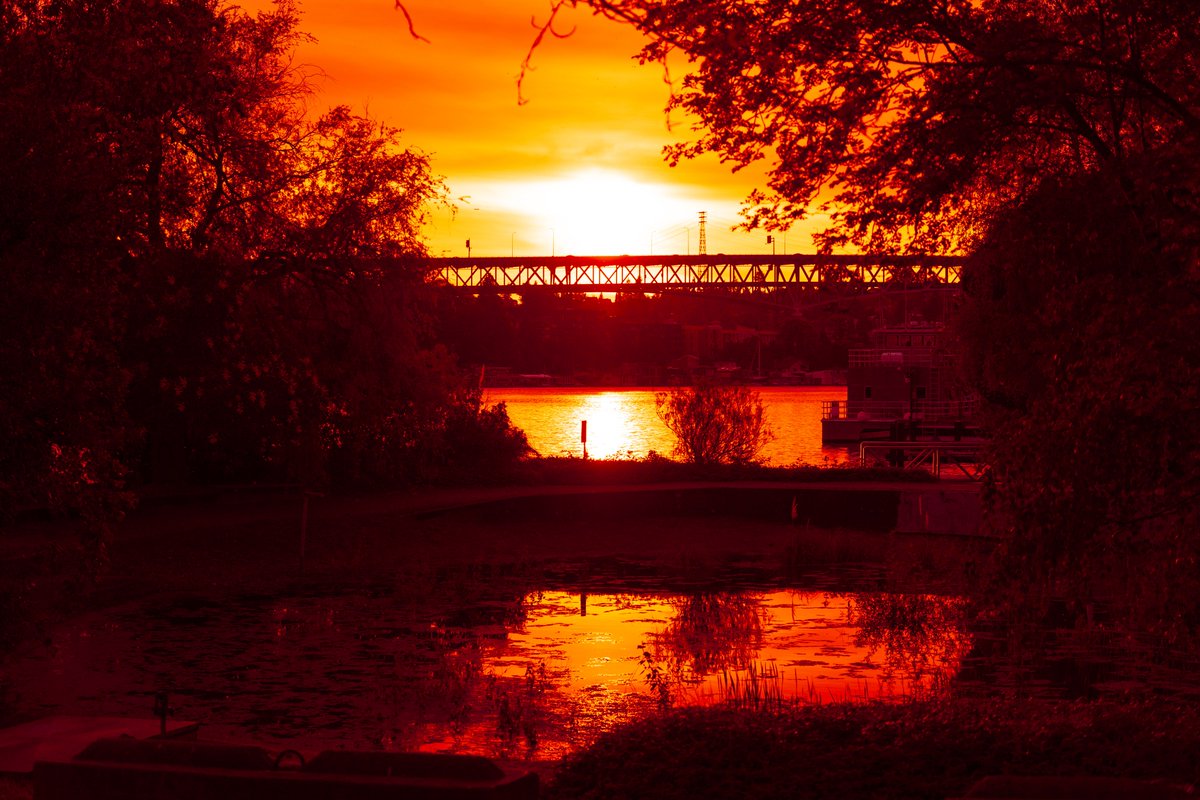 ShoFrex's tweet photo. Sunset at Portage Bayโ
ก
#sunset #PortageBay #WashingtonUniversity #Universitybridge #Schoolofoceanography #ShipCanalBridge https://t.co/dnajYDQnwG
