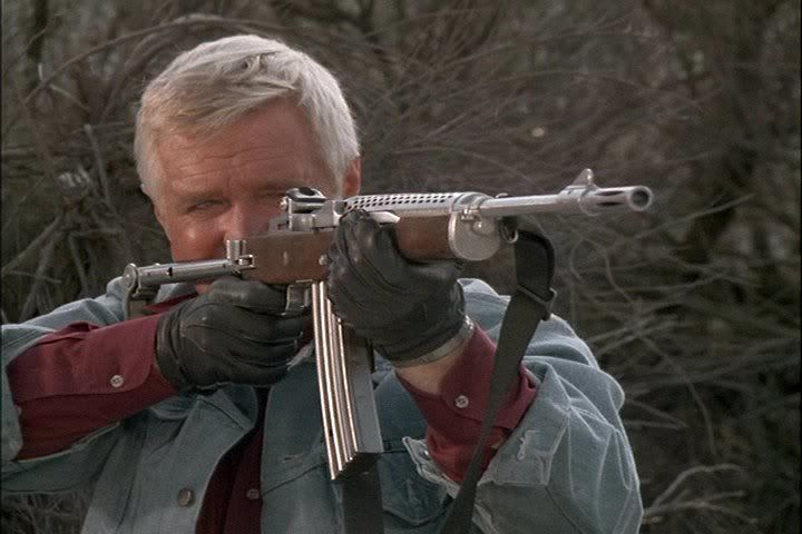 スタームルガー MINI-14 ミニ14 - Wikipedia