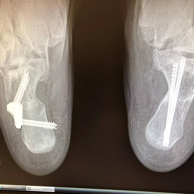 Dr Manel Ballester tweet media