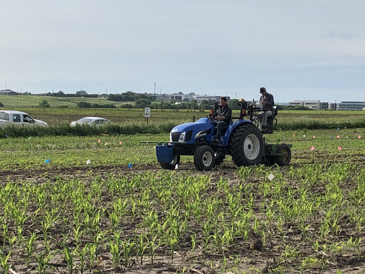 aprilschoenberg's tweet photo. Spent some time with the #Ear2Ear team in the test field this morning learning about corn 🌽 from @KState graduate student Mario Secchi 🌍@kscorn @bmccornack @meemert17 @JanelleStigall @pgould313 https://t.co/sDtXNk7IjH
