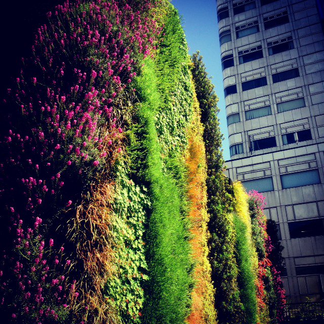 ChurchStConnect's tweet photo. The #EdgwareRoad living wall - just one of the fab local features by Church Street #livingwall #greenercities #CleanAir19 https://t.co/Da1KxLWteJ