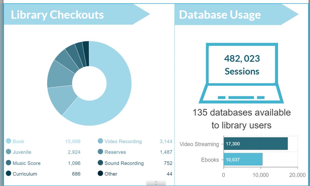 LibrarianMc's tweet photo. Our library has been busy! #mcdpi19 #dataviz @VismeApp https://t.co/PeXfTVqG99
