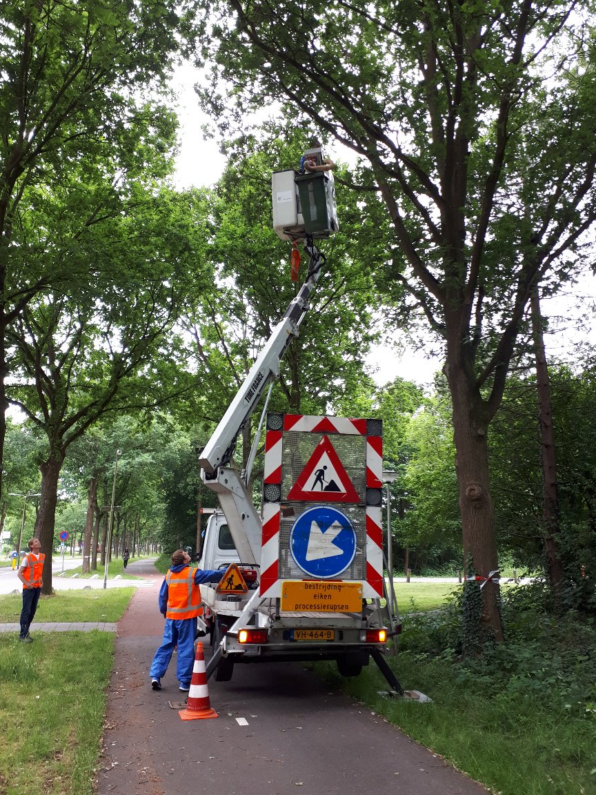We zijn gestart met het wegzuigen van nesten van de eikenprocessierups. Voor meer info kun je terecht op bit.ly/2Wt4owP