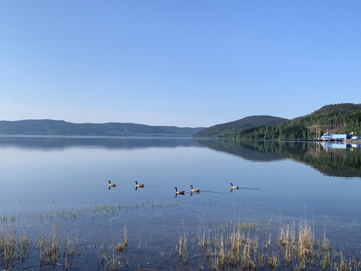 Chrissh51590080's tweet photo. Enjoying the peaceful life whilst away with work #docksta #businesstravel #Sweden #fjord https://t.co/rboqDAMYHT