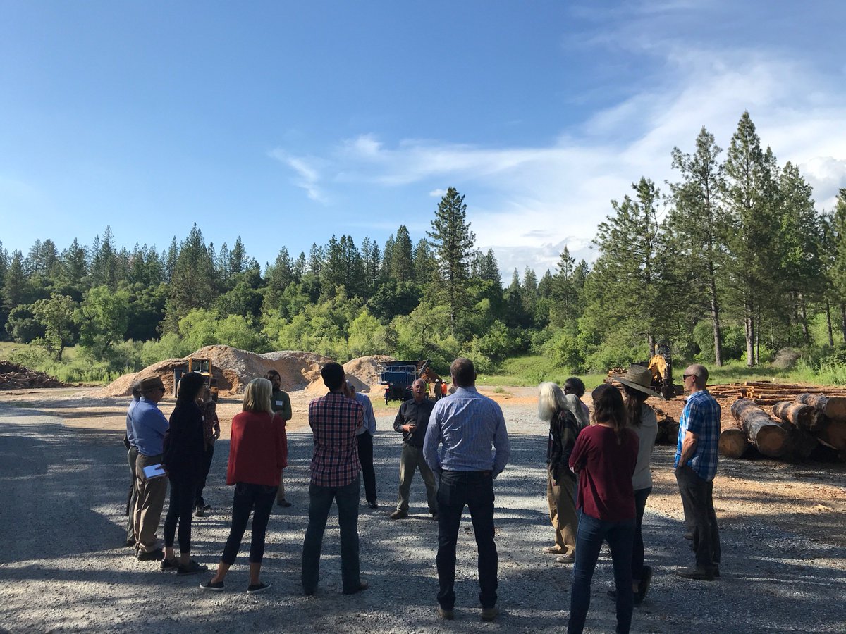 SierraInst's tweet photo. Always great to gather with rurally-based partners working on community scale biomass for the annual #RCDI gathering. This year, we hosted the workshop in Jackson, and took a field trip to the CHIPS wood products yard in Wilseyville. #woodutilization https://t.co/nysPP8bBQL