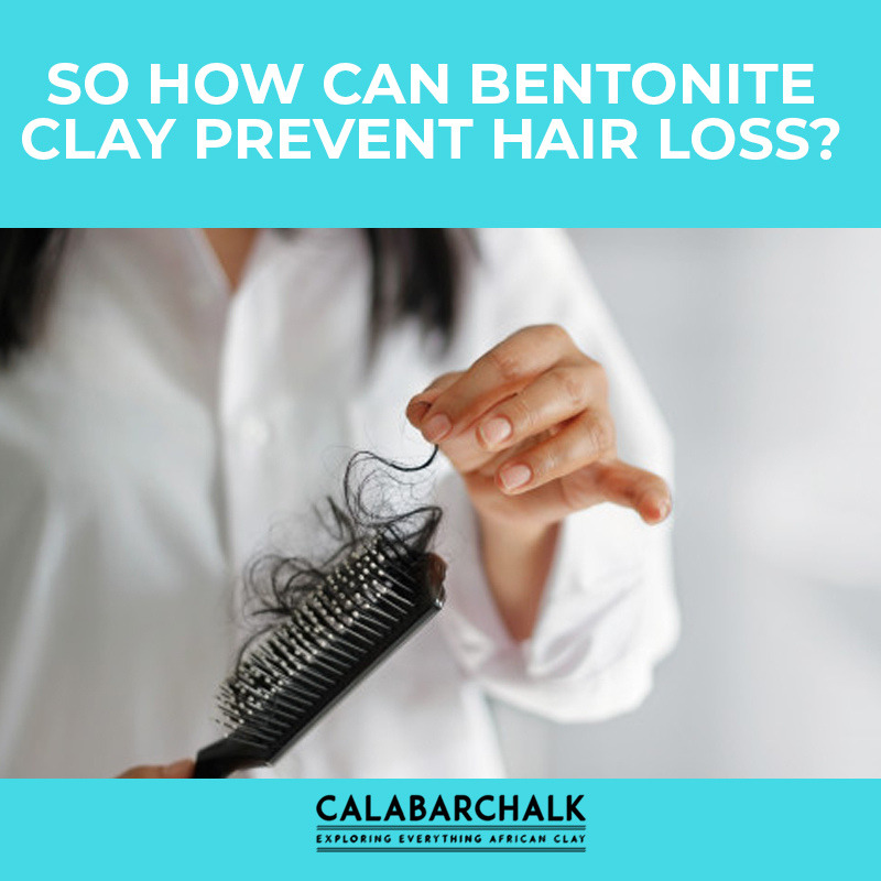 Mud helps get rid of the toxins in your scalp. It also gets rid of your dandruff. In fact, it can be effective for people suffering from alopecia and baldness. Read more here: bit.ly/2wshxYo #CalabarChalk #Benefits #HairLoss #BentoniteClay #BaldnessSolution