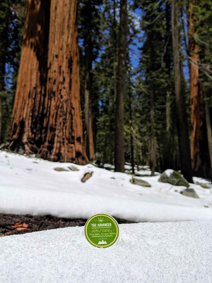 TgcNetwork's tweet image. Use our tablets to relax and get in touch with nature!! #tgcadvanced #hemp #hempisolate #AnxietyRelief #StressFree