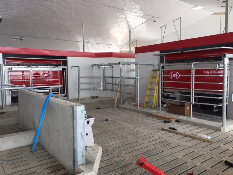 Avonbank_Ag's tweet image. Great progress is being made on another 3 robot barn! Keep up the great work guys! @Avonbank_Ag #livelifelely @DairyRobot #designinstallationservice