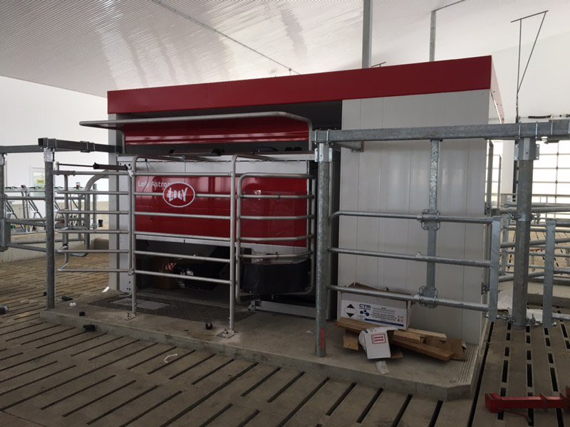 Avonbank_Ag's tweet image. Great progress is being made on another 3 robot barn! Keep up the great work guys! @Avonbank_Ag #livelifelely @DairyRobot #designinstallationservice