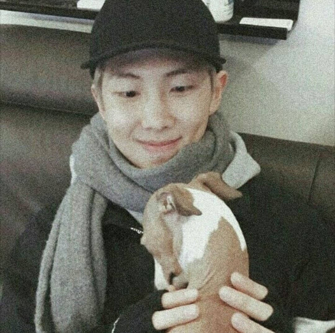 EvitaAAa_3's tweet photo. No estaba mi cachorro❤
#RM
#ARMYSelcaDay https://t.co/HQEp7KiuxZ