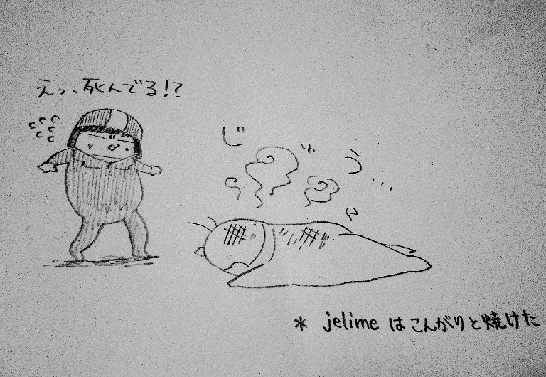今日の海賊rkgkをあげて寝ます。来週は何の動画があがるのかしら…?✨
おやすみなさい。 