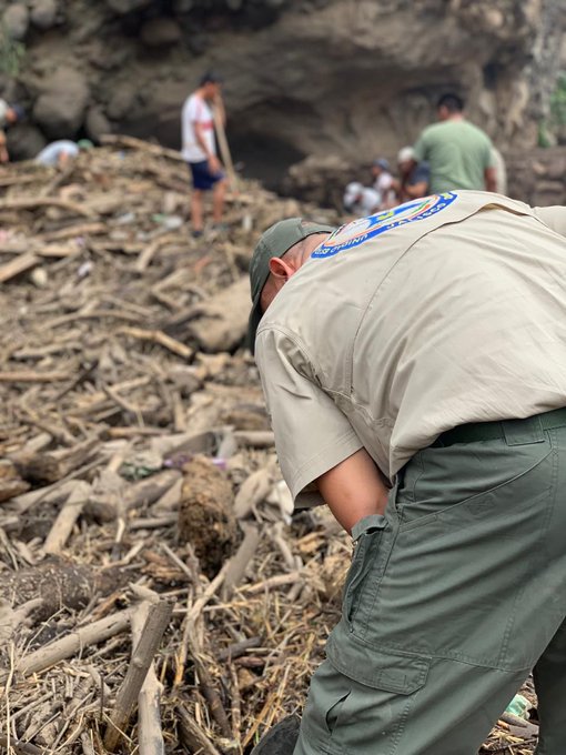 View image on Twitter